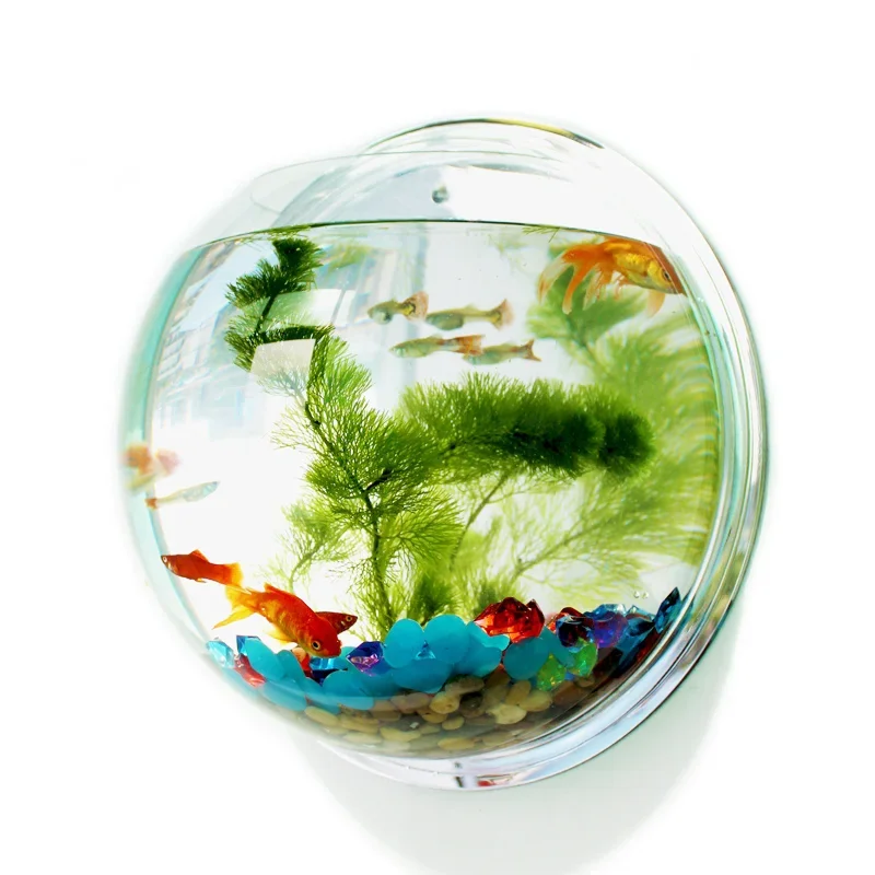 Pet Supplies Fish - Pinsjar アクリル金魚鉢壁掛け水族館タンク水生ペット用品ペット製品壁掛け水槽ベタ魚用