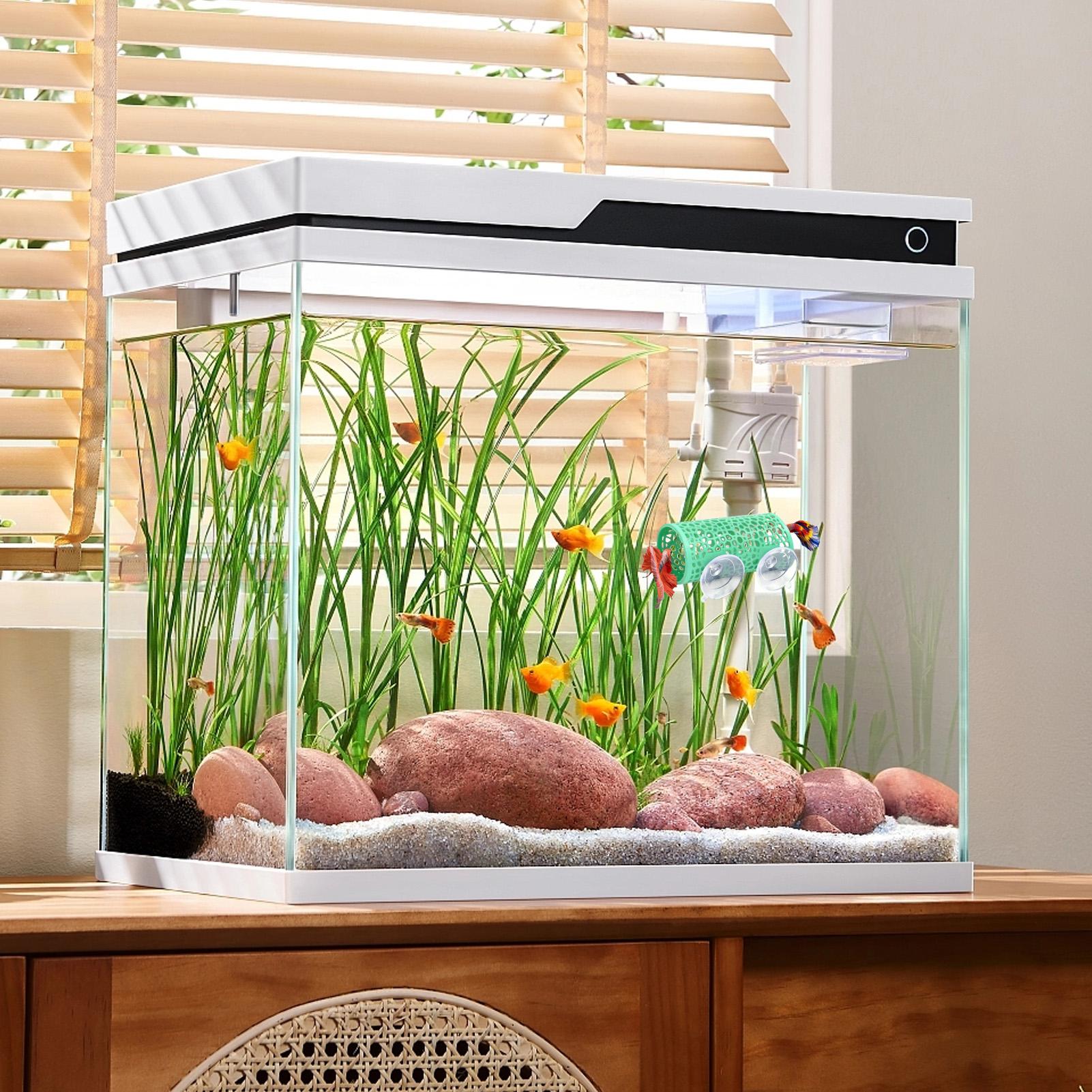 ベタの生息地、休憩用シェルター、装飾用魚トンネルおもちゃ、水 - Pet Supplies Fish のレビューと価格