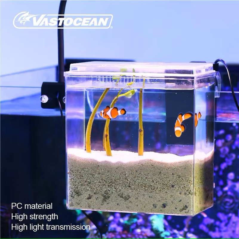 VASTOCEAN 水槽外部給餌ボックス海洋タンク拡張タンク - Pet Supplies Fish のレビューと価格