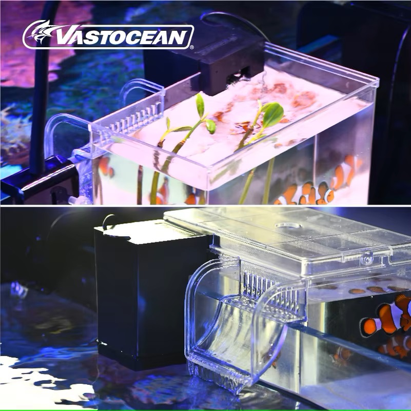 VASTOCEAN 水槽外部給餌ボックス海洋タンク拡張タンク - Pet Supplies Fish のレビューと価格