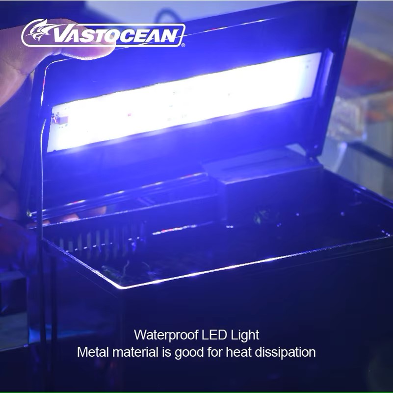VASTOCEAN 水槽外部給餌ボックス海洋タンク拡張タンク - Pet Supplies Fish のレビューと価格
