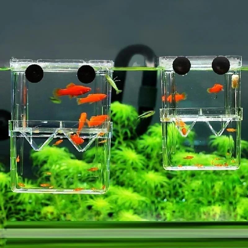 透明魚水族館高クリア繁殖分離ボックスペット用品ブリーダータン - Pet Supplies Fish のレビューと価格