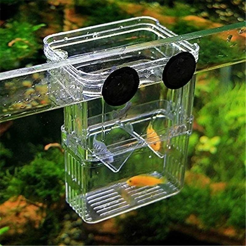 透明魚水族館高クリア繁殖分離ボックスペット用品ブリーダータン - Pet Supplies Fish のレビューと価格