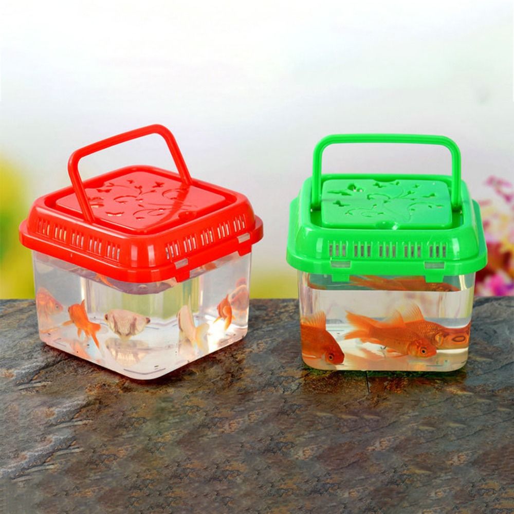 ミニポータブルプラスチックフィッシュタンク,ペット用品,テラ - Pet Supplies Fish のレビューと価格