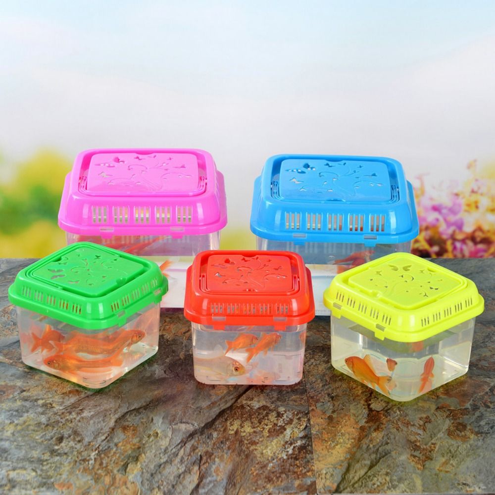 ミニポータブルプラスチックフィッシュタンク,ペット用品,テラ - Pet Supplies Fish のレビューと価格
