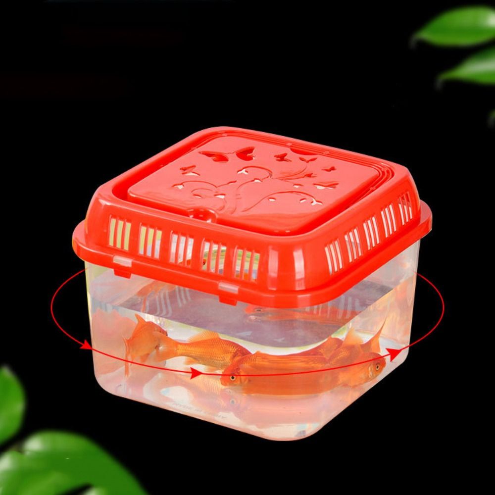 ミニポータブルプラスチックフィッシュタンク,ペット用品,テラ - Pet Supplies Fish のレビューと価格