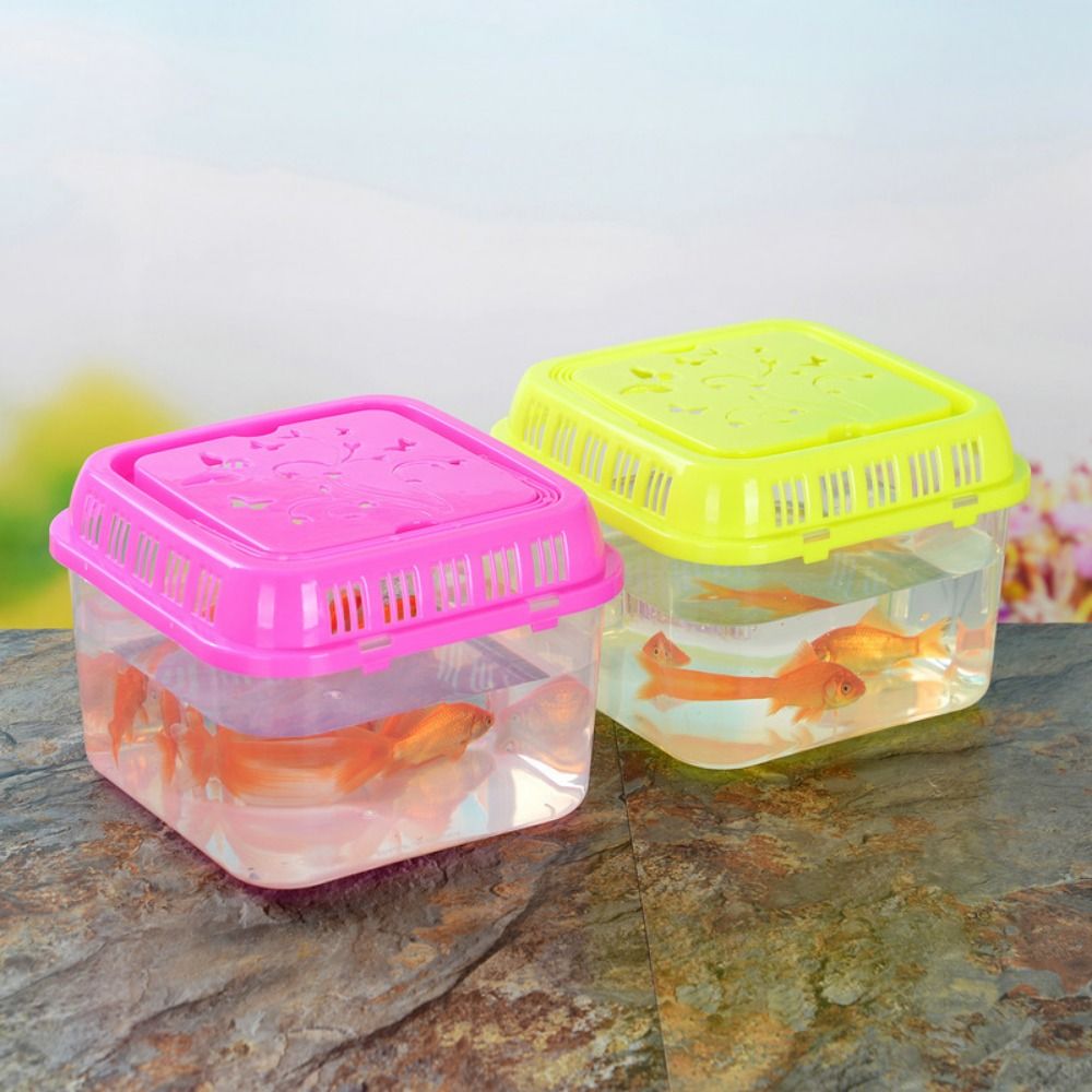 ミニポータブルプラスチックフィッシュタンク,ペット用品,テラ - Pet Supplies Fish のレビューと価格