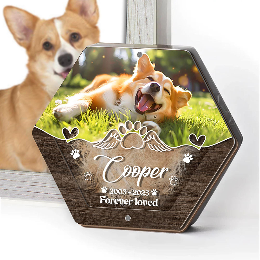 パーソナライズネーム木製彫刻ペットヘア収納ボックスペット用品 - Pet Supplies App のレビューと価格