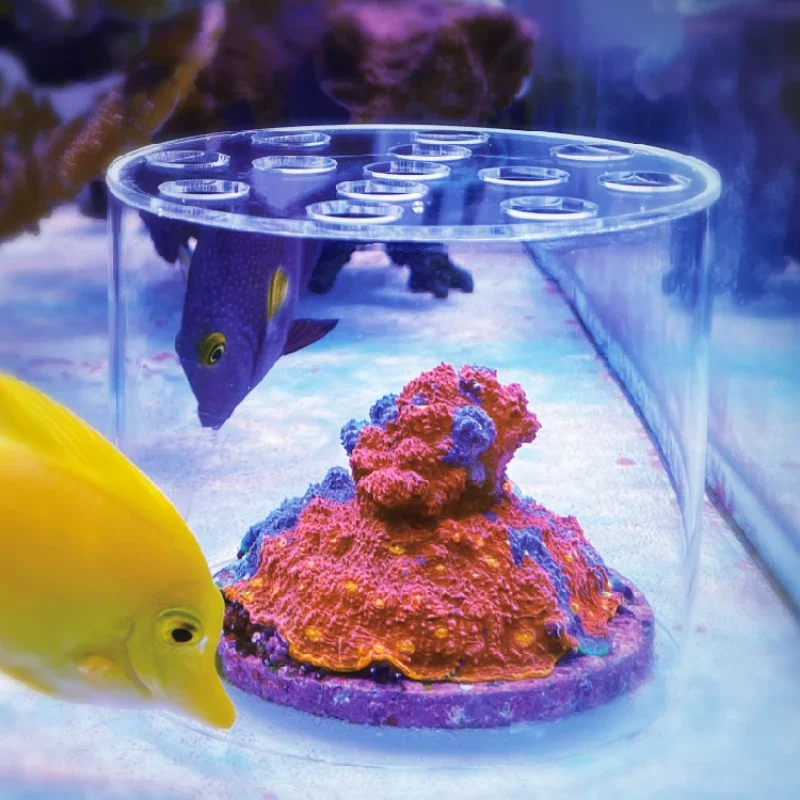 ヴァストオーシャン水族館 アクリル製サンゴフィーダーフード  - Pet Supplies Fish のレビューと価格