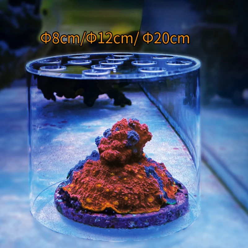ヴァストオーシャン水族館 アクリル製サンゴフィーダーフード  - Pet Supplies Fish のレビューと価格