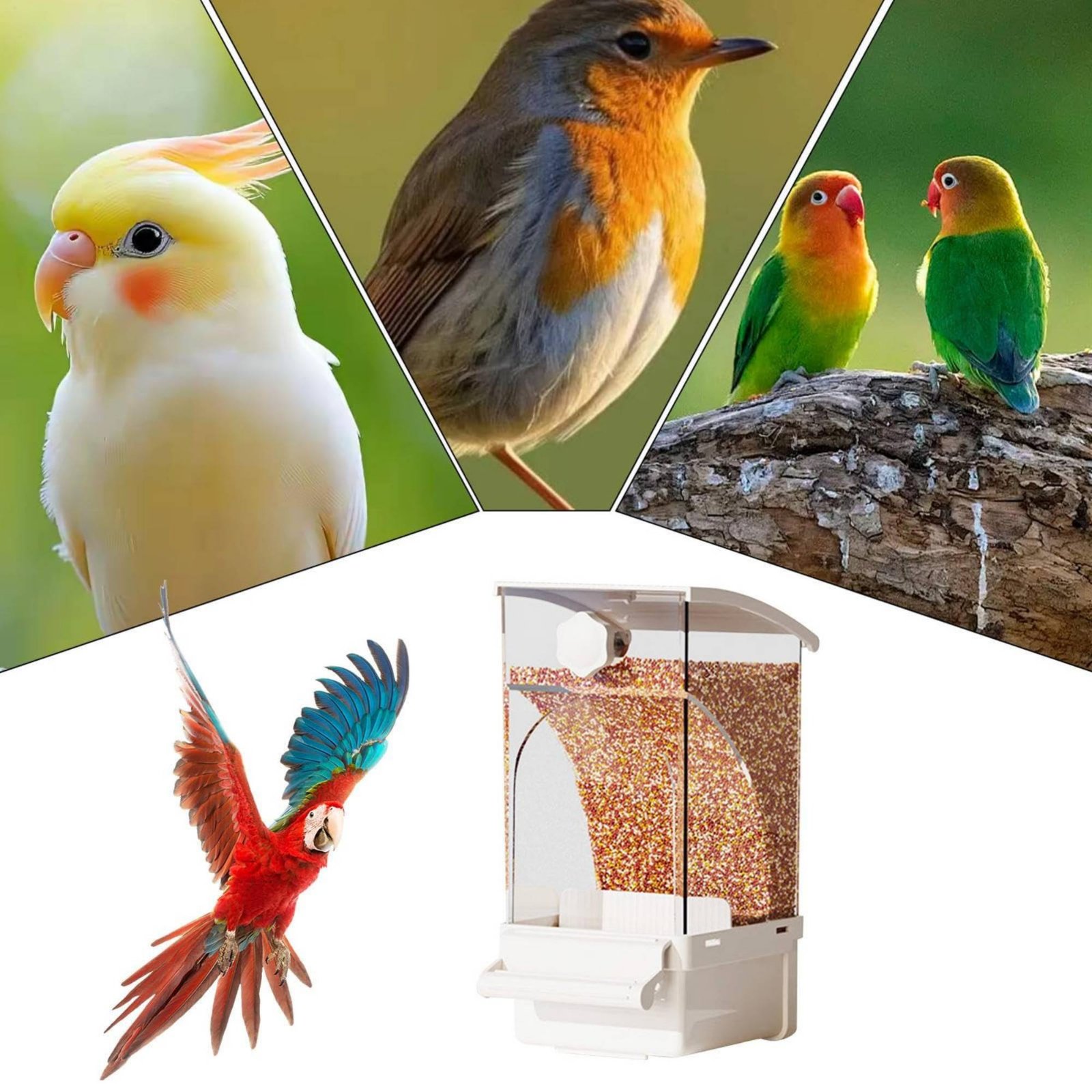自動鳥用フィーダー 殻分離式 汚れのない鳥用フィーダー 汚れ - Pet Supplies In のレビューと価格
