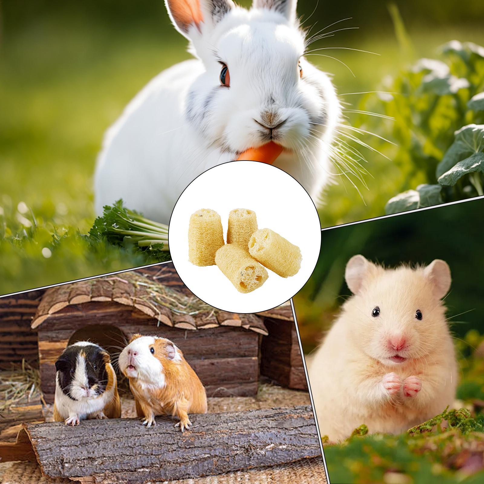 ウサギ用おもちゃ4個入り ルーファ チンチラ 噛むおもちゃ  - Pet Supplies Pet Shop のレビューと価格