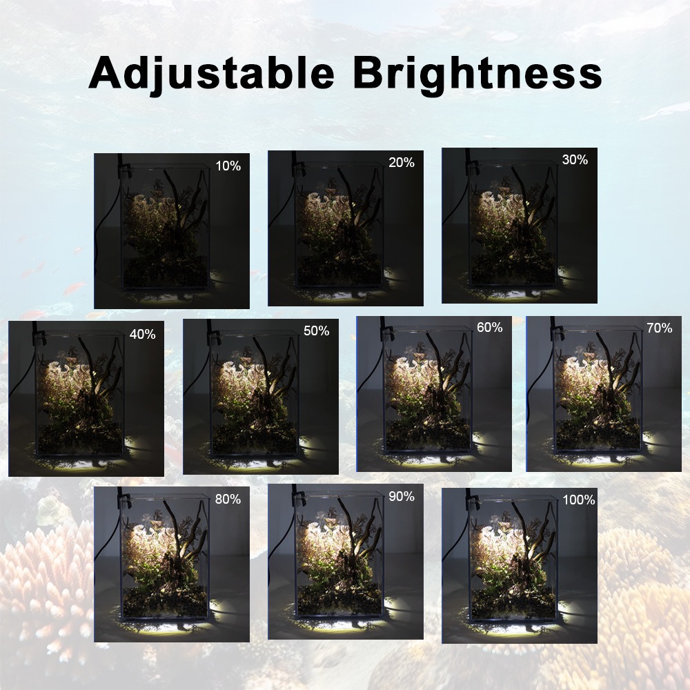 スーパースリム LED 水族館ライト照明植物成長ライト US - Pet Supplies Pet Shop のレビューと価格